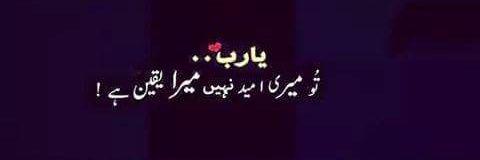 Junaid Sahi's banner