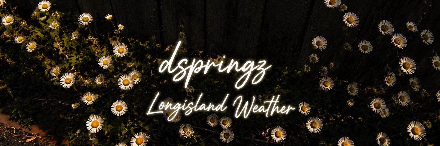 dspringzᵂˣ's banner