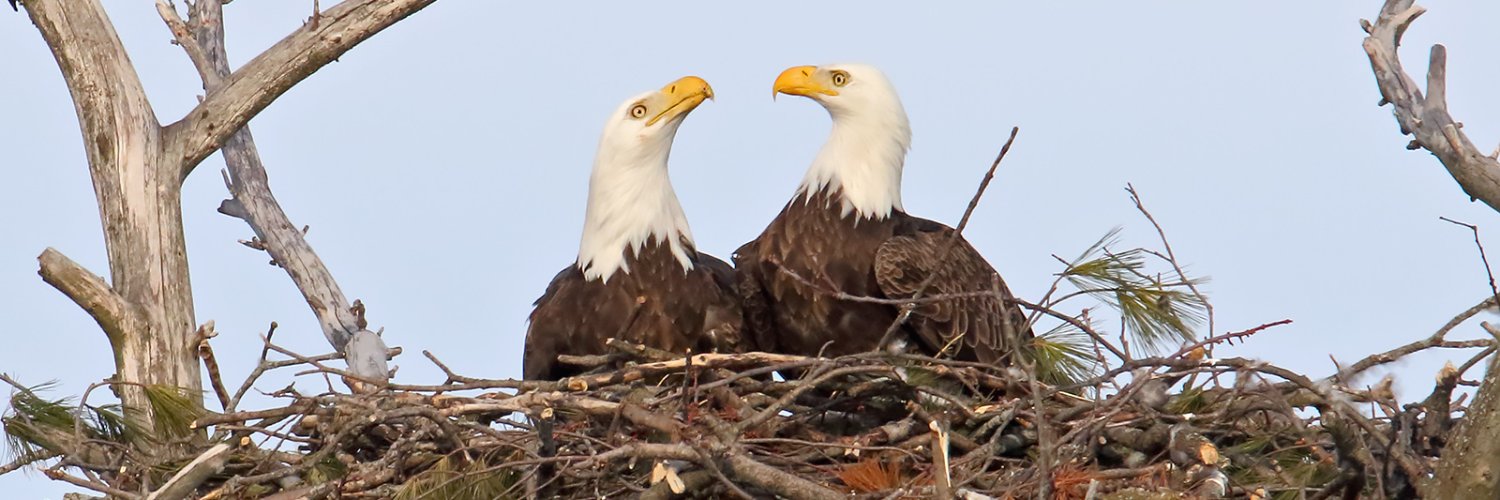 U.S. Fish and Wildlife Service's banner