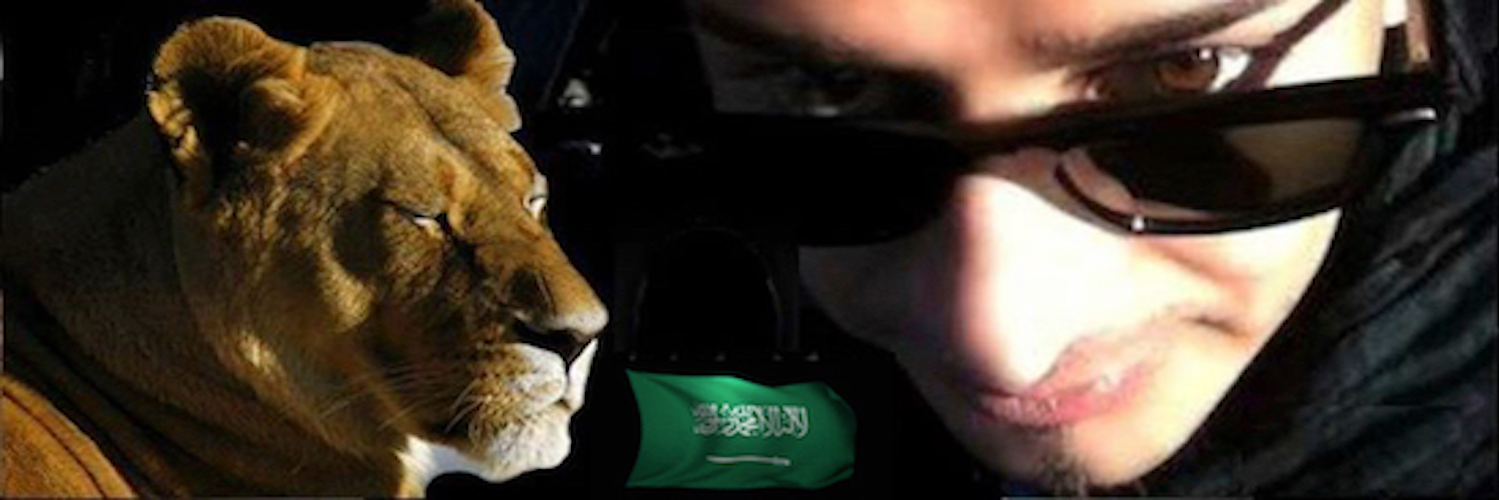 Ibrahim إبراهيم's banner