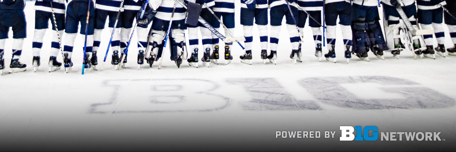 Big Ten Hockey's banner