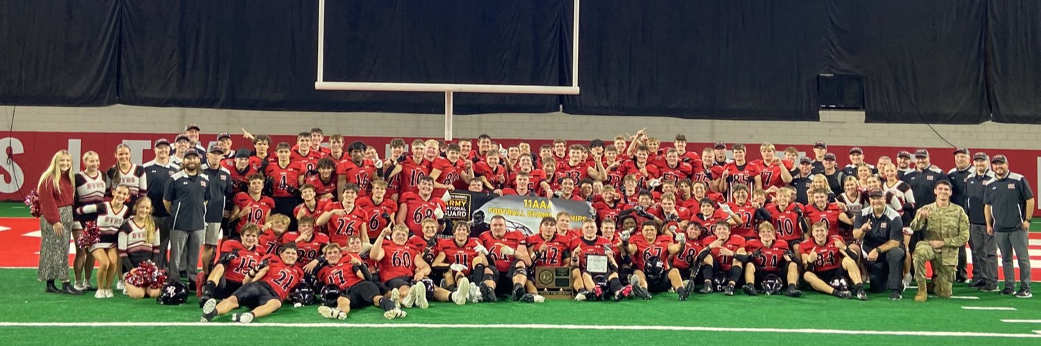 BV Lynx Football's banner