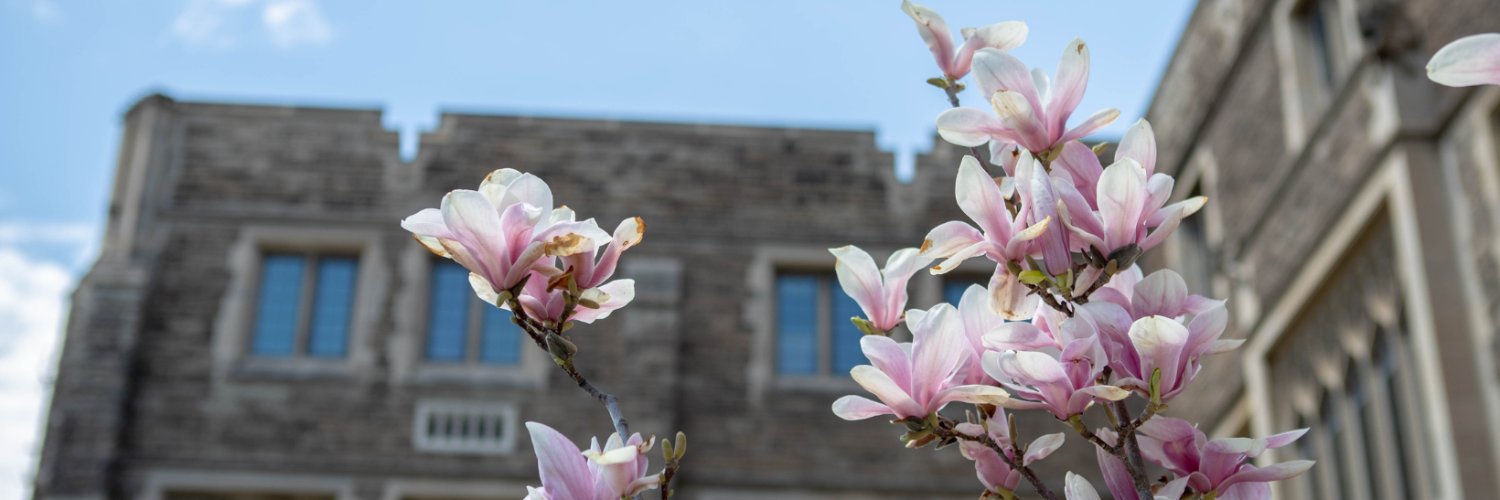 McMaster University's banner