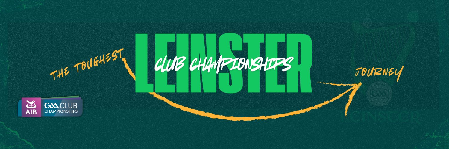Leinster GAA's banner