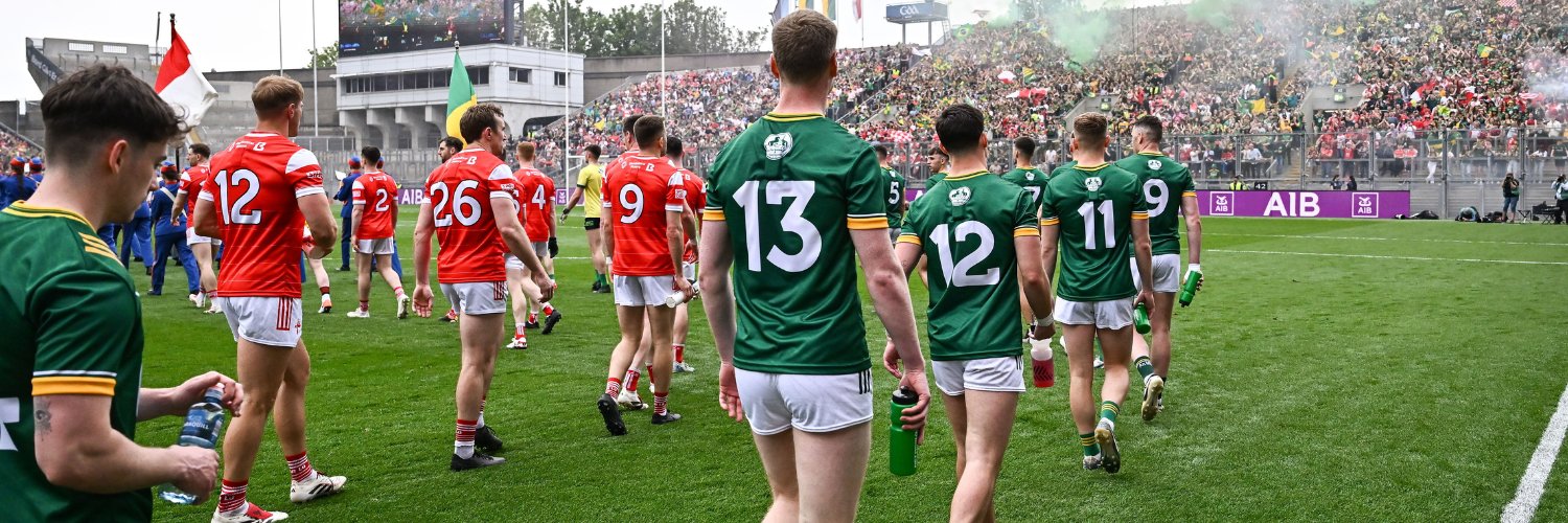 Leinster GAA's banner