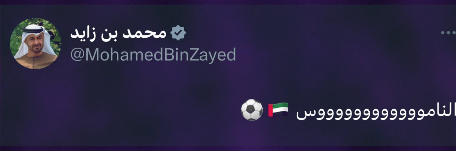 🇦🇪 سيف's banner