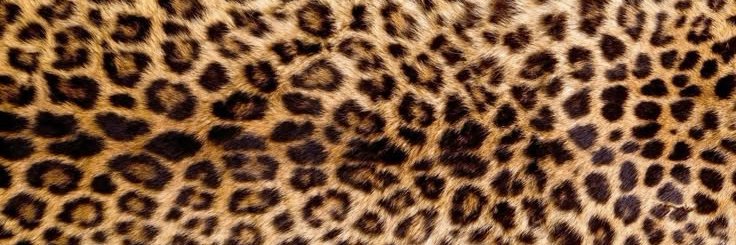 ɴᴀʏ's banner