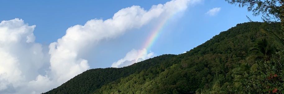 Nèg a tou pri's banner