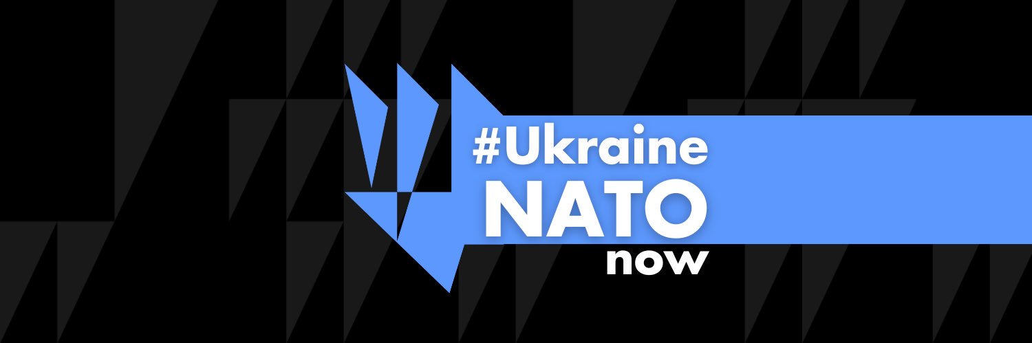 Daria Kaleniuk's banner
