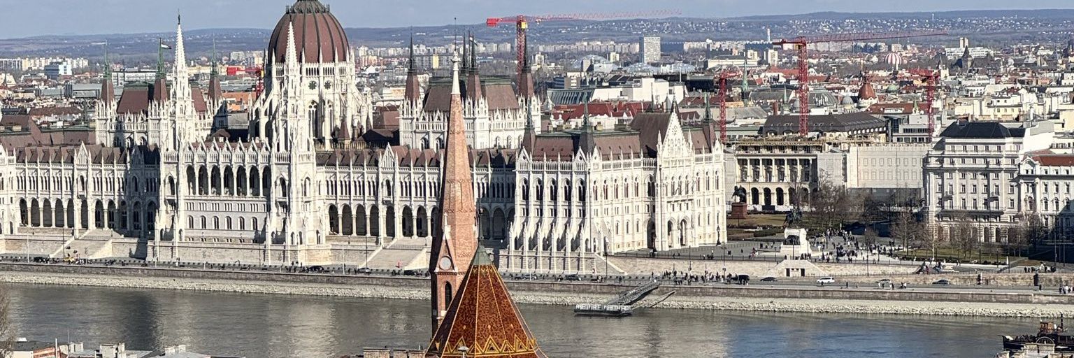 Eduard Habsburg's banner