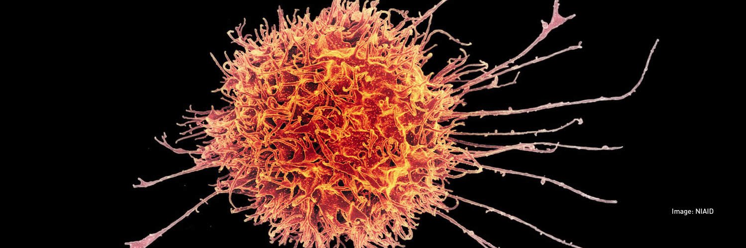 British Society for Immunology's banner