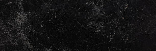 Rachel Parker's banner