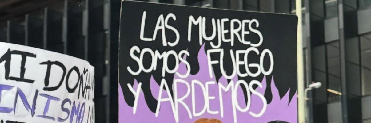Laura Camila Vargas's banner