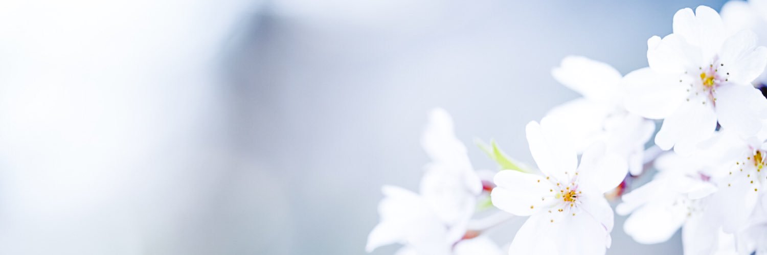 かっち's banner