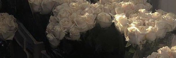 🌸🌼's banner