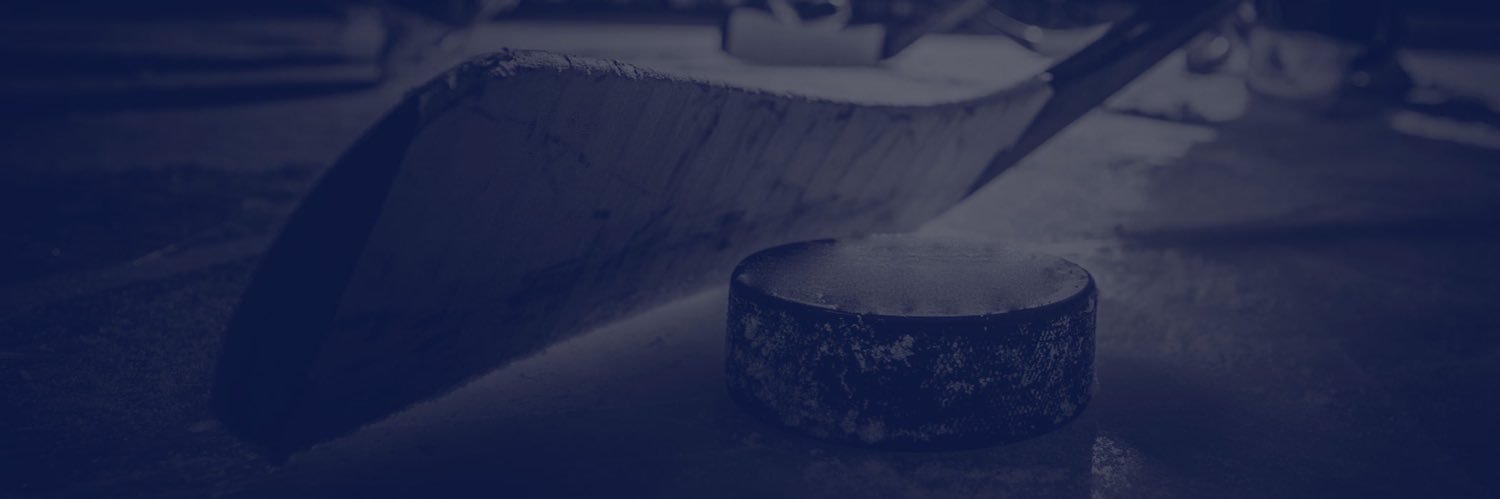 Hockey Hub's banner