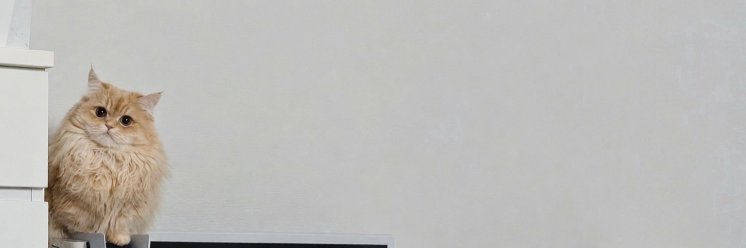 江﨑 葵's banner