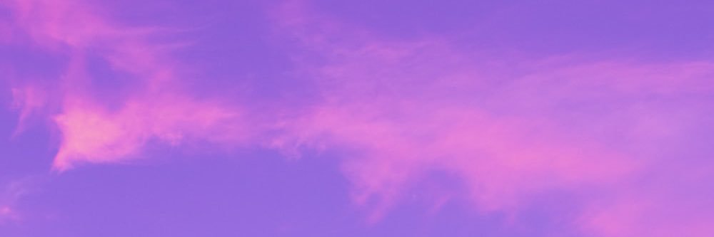 Megan Morant's banner