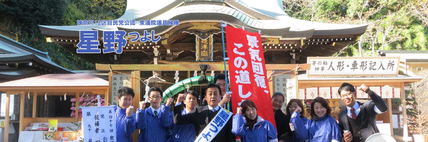 衆議院議員 星野つよし's banner