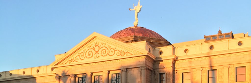 Arizona House Democrats's banner