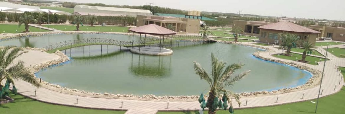 احمد علي البغيلي's banner