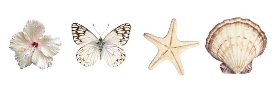 𝘈𝘮𝘢𝘳𝘪 🎀 𝘈𝘯𝘯𝘦's banner