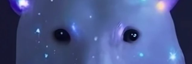 Urso Judeu's banner