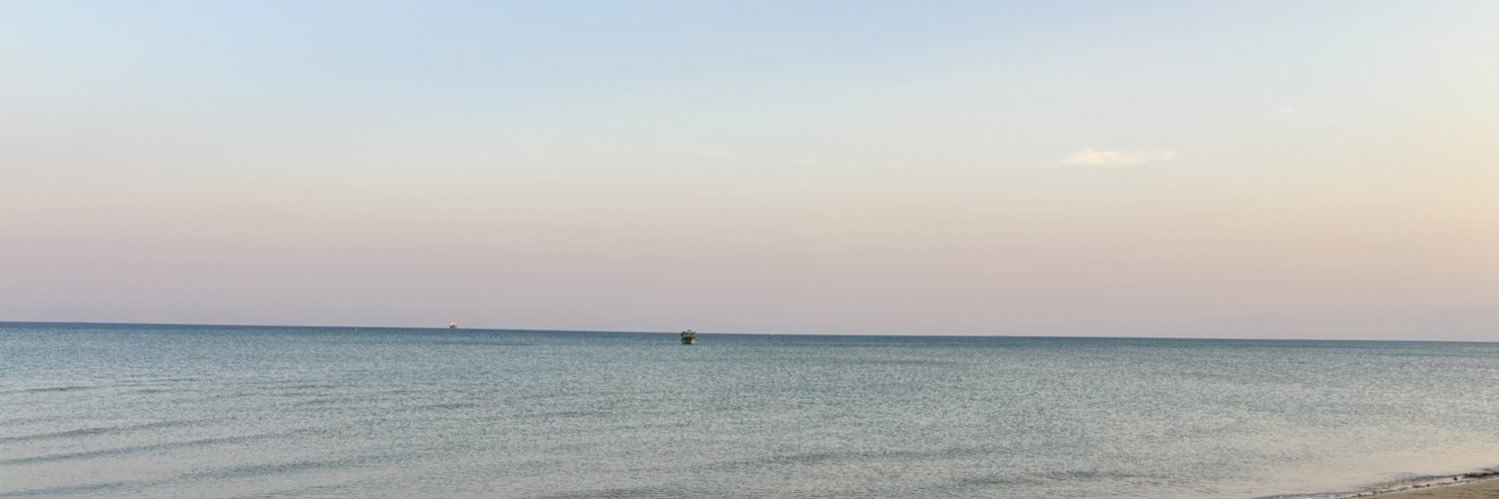 Dina Elwedidi's banner