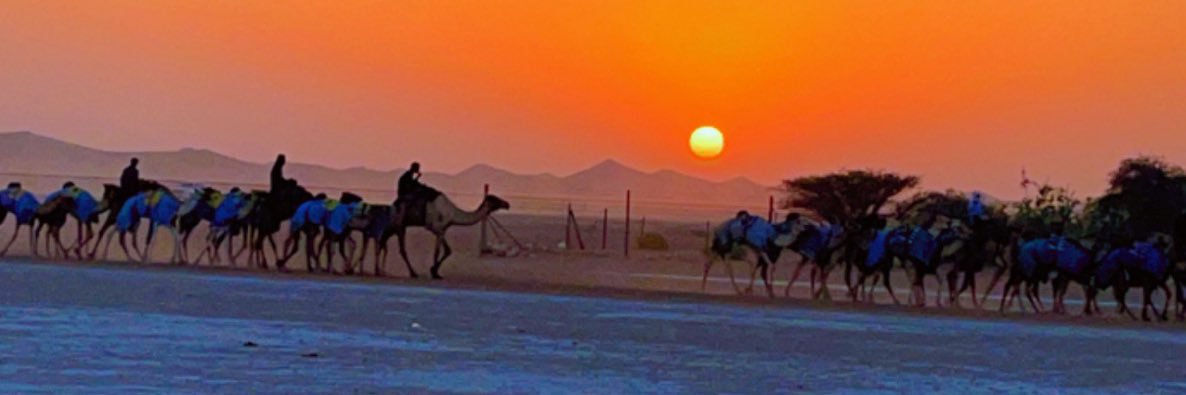 سالم بن متعرض's banner