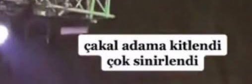 Arda's banner