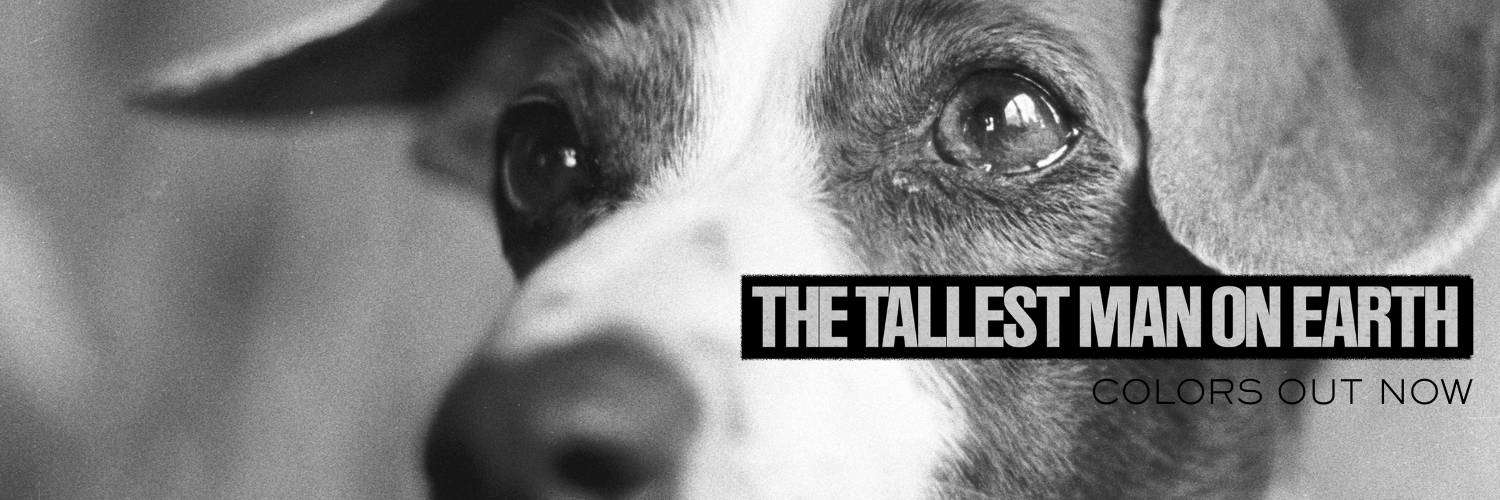 The Tallest Man On Earth's banner