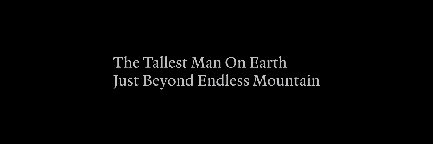 The Tallest Man On Earth's banner