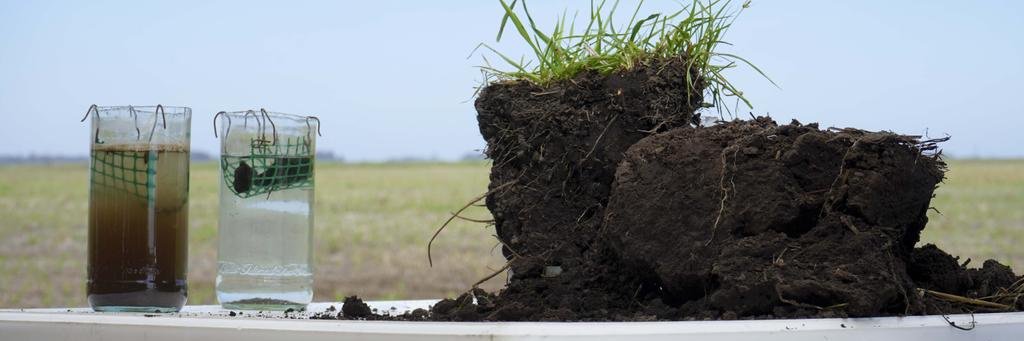 Andres Garciarena's banner