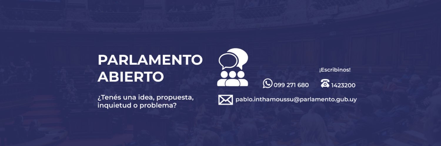 Pablo Inthamoussu's banner