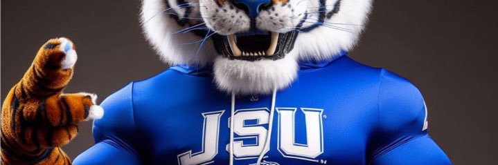 Thee Standard 🐅's banner