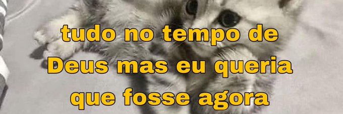 Renata Perez's banner