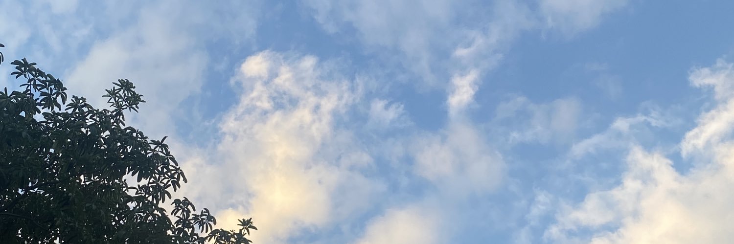 mufff's banner