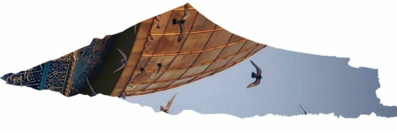 Eman Elkhamesy's banner