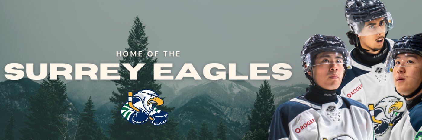 Surrey Eagles's banner