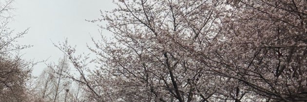 언제나세훈이편 ❄️'s banner