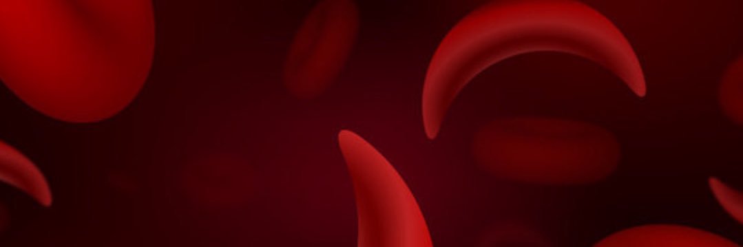 Her Sickled Journey's banner