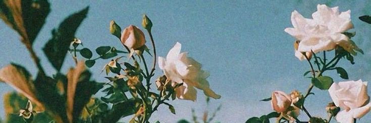 텧림's banner