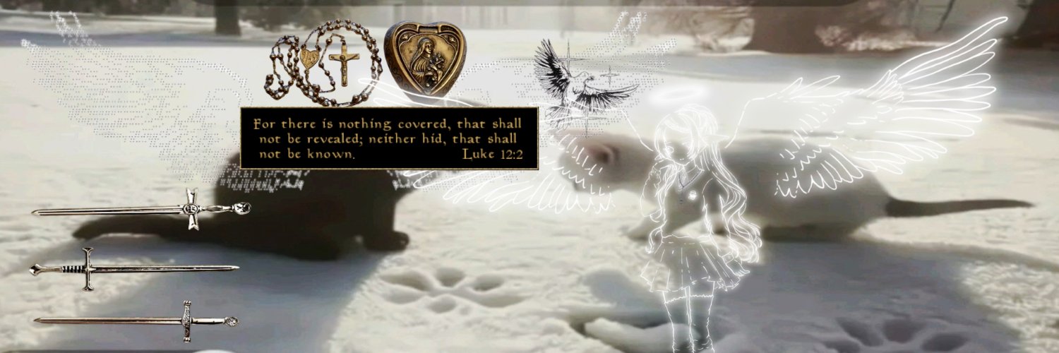 𝚂𝙿𝙸𝙲𝙴's banner