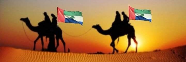أحمد بن محفوظ الكِندي🌴's banner
