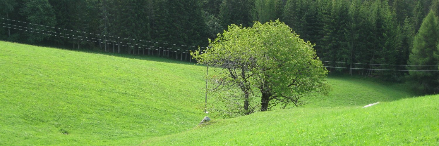 Bruno Simili's banner
