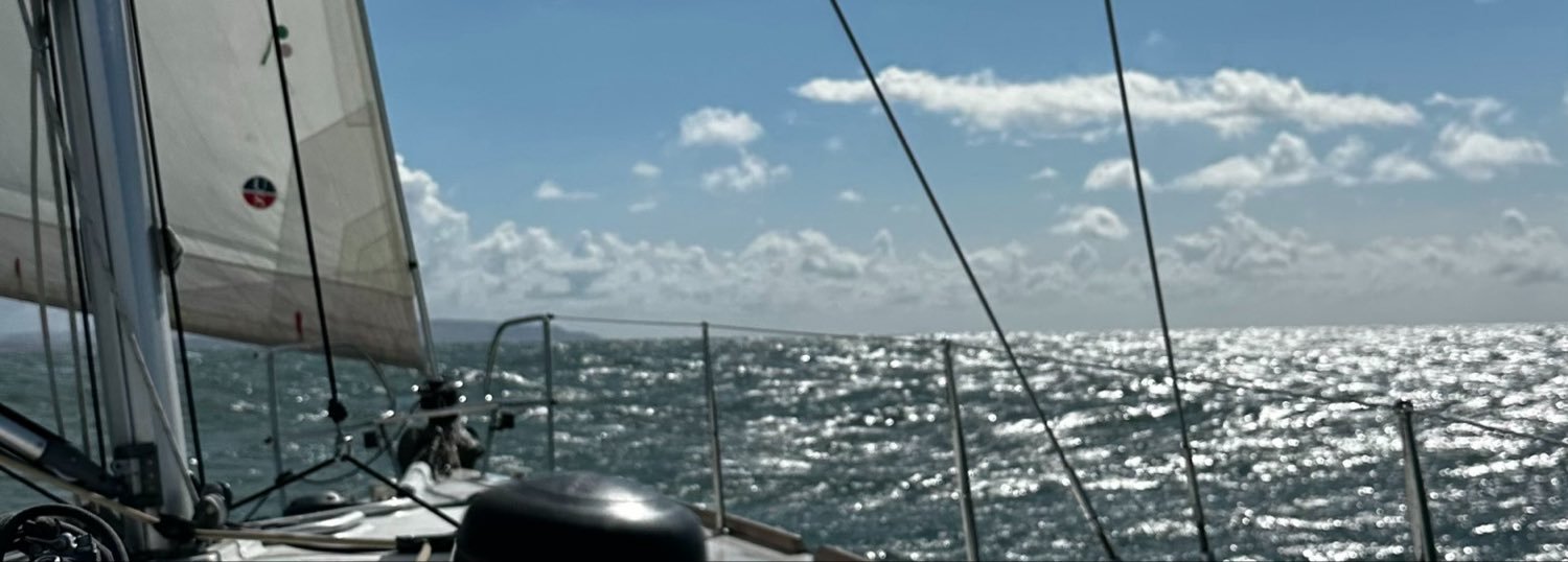 Will King's banner