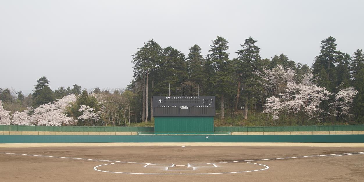 新潟野球ドットコム's banner