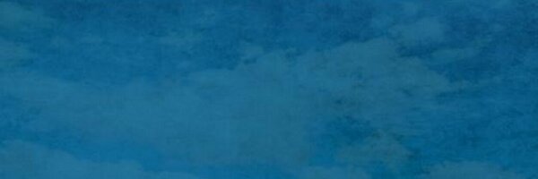 TWlTTEROS CALI's banner