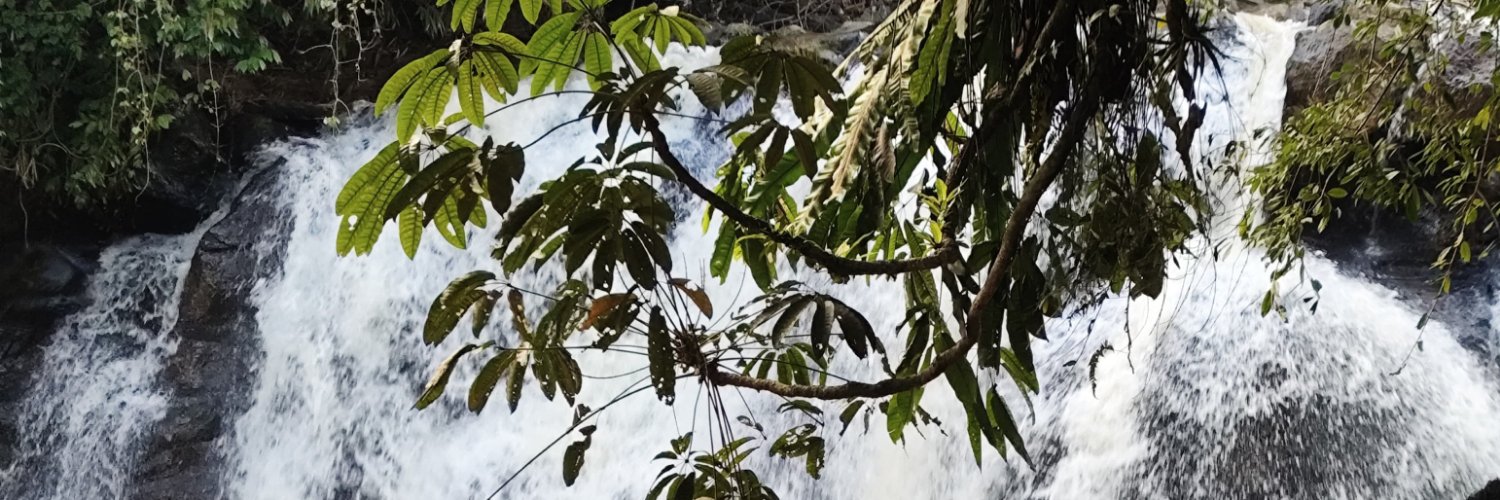 Fzl_Mzthdn's banner