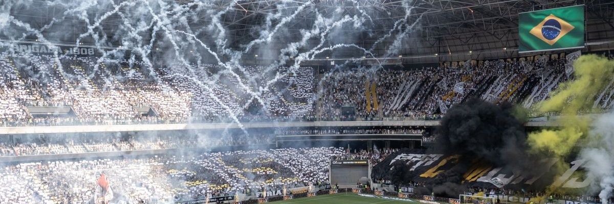 Vinícius🐓✊🏿🇵🇸's banner